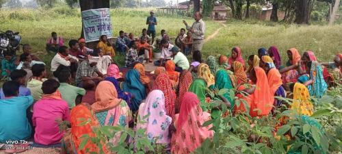 KaaM Mango Abhiyan